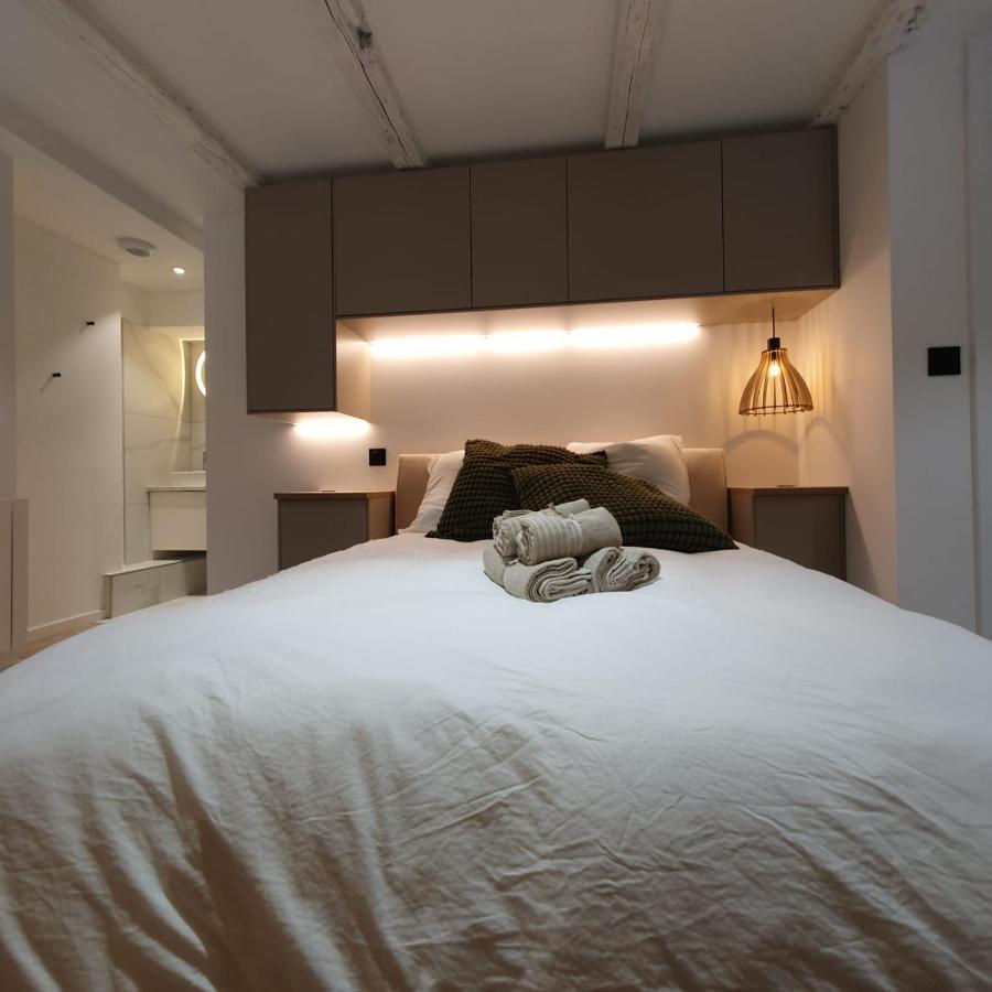 Les Appartements Hyper Centre Strasbourg Luaran gambar