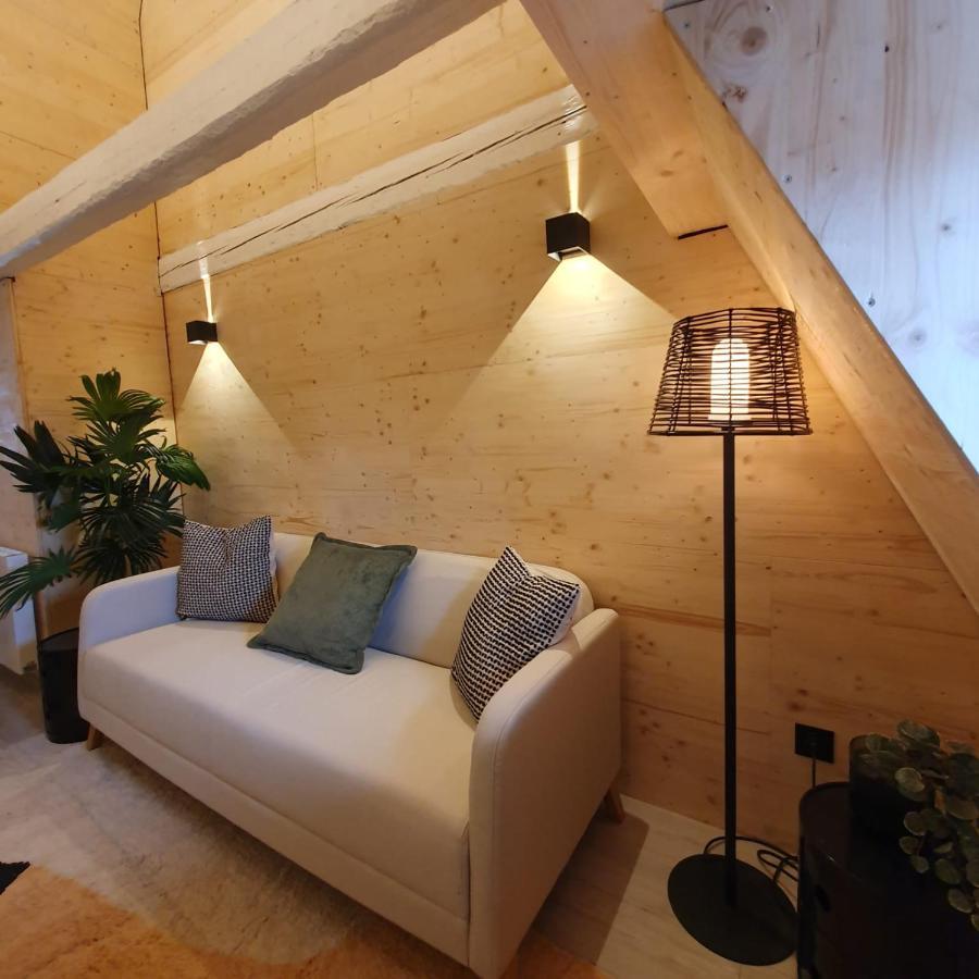 Les Appartements Hyper Centre Strasbourg Luaran gambar