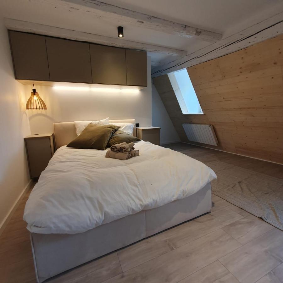 Les Appartements Hyper Centre Strasbourg Luaran gambar