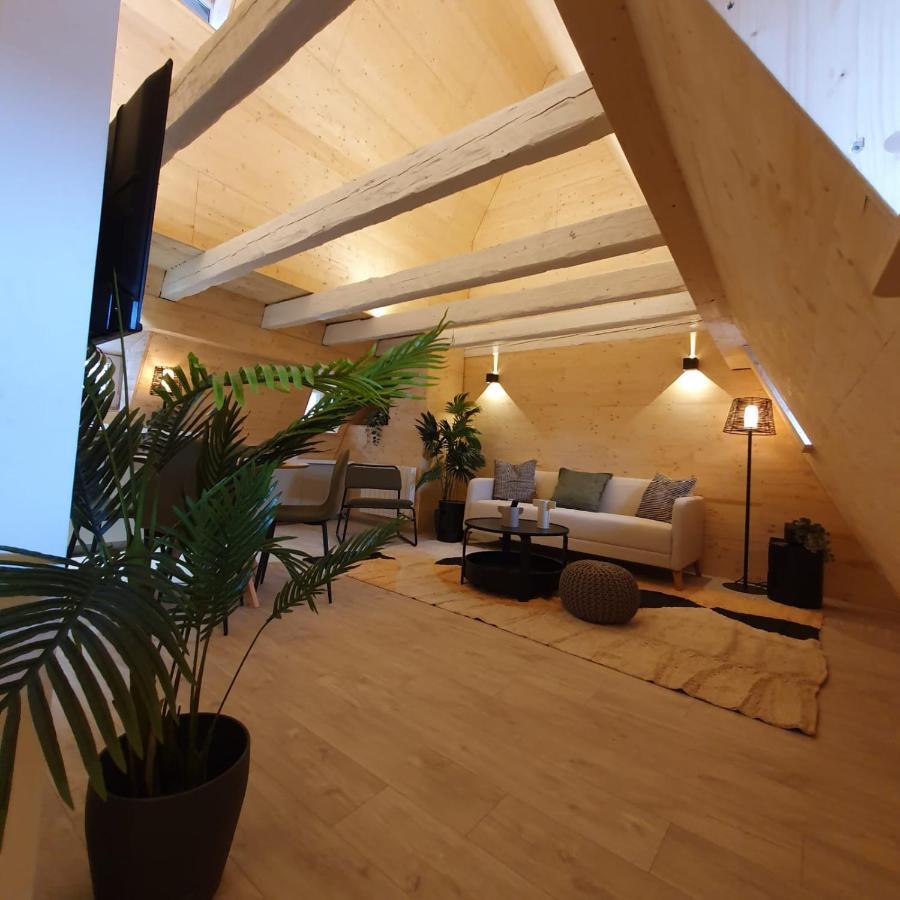 Les Appartements Hyper Centre Strasbourg Luaran gambar