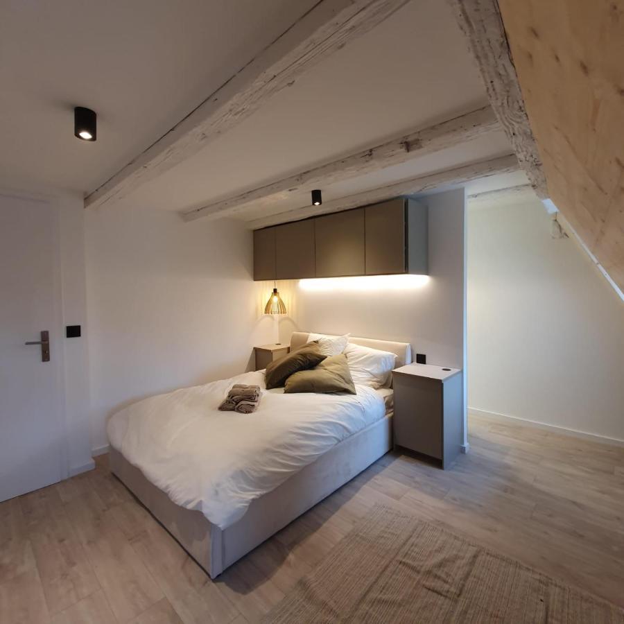 Les Appartements Hyper Centre Strasbourg Luaran gambar
